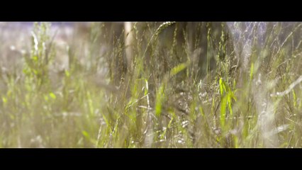 The Legend Of Tarzan - Clip - Stampede