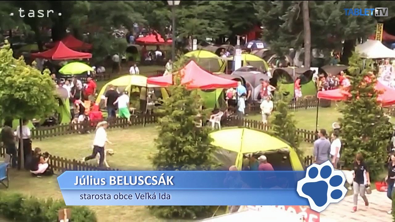 V hlavnej úlohe mačky: Pomáhajú študentom zvládnuť stres pred skúškami