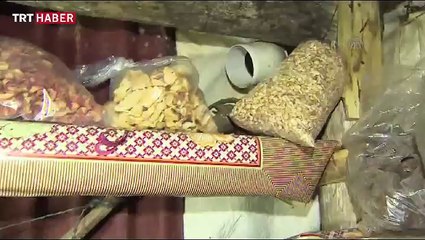 Lice'de terör operasyonu