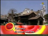 Die Flippers - Ein ganzes Leben lang