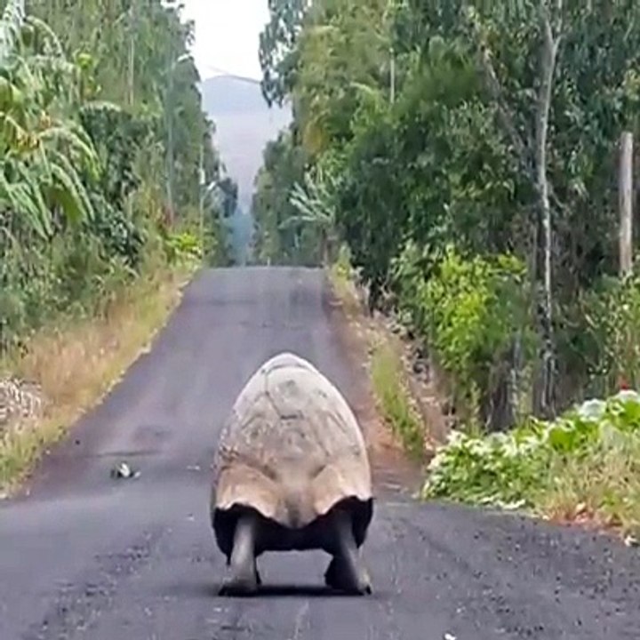 La route est longue... trèèèèès longue hahaha