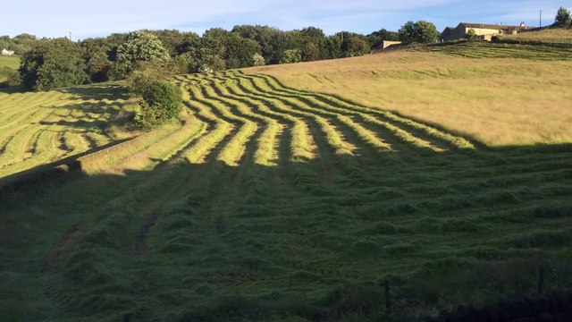 Timelapse d'un fermier coupant un champ en tracteur ! Hypnotisant