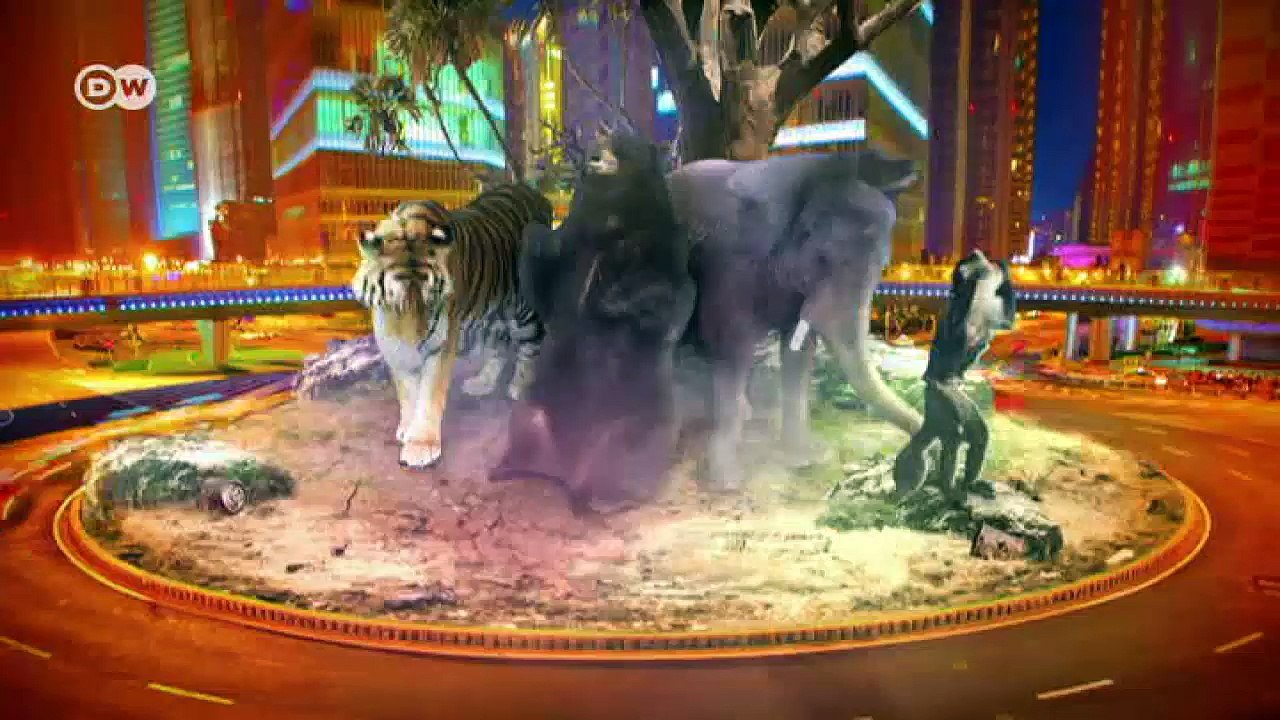 Suche nach der Lösung eines tödlichen Geheimnisses | Wissen & Umwelt