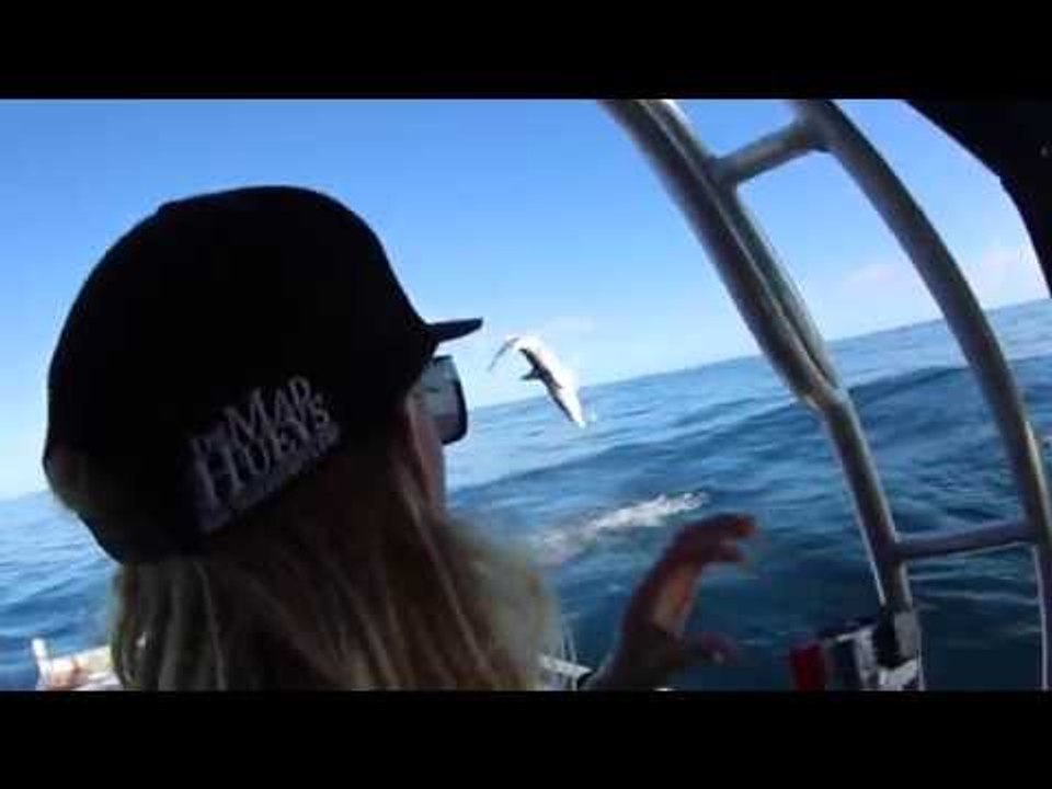 Shark Snags Fisherman's Line With Backflip