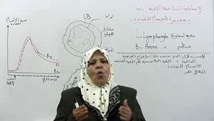 مصدر الأجسام المضادة ومنشأها 2