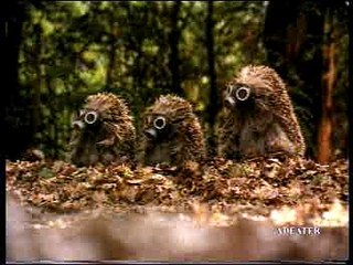 Advertisement @ Mercedes C @ Class Diesel