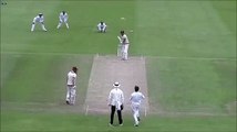 Mohammad Amir bowled Trego - Pakistan Vs Somerset highlights