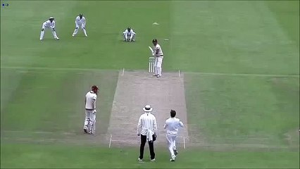 Mohammad Amir bowled Trego - Pakistan Vs Somerset highlights