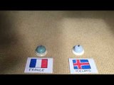 Mini Dachshund Correctly Predicts Result of France and Iceland Match at Euro 2016