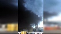 بالفيديو..مصنع السكر كارثة بيئية في بنزرت