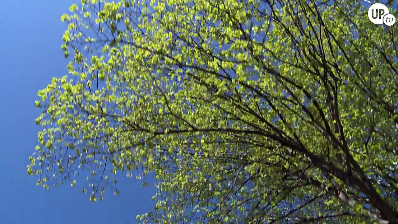 IC2MP - Poitiers Chemical Institute : Materials and Natural Resources