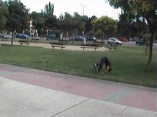 urban shades parkour