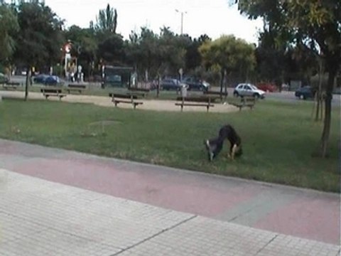 urban shades parkour