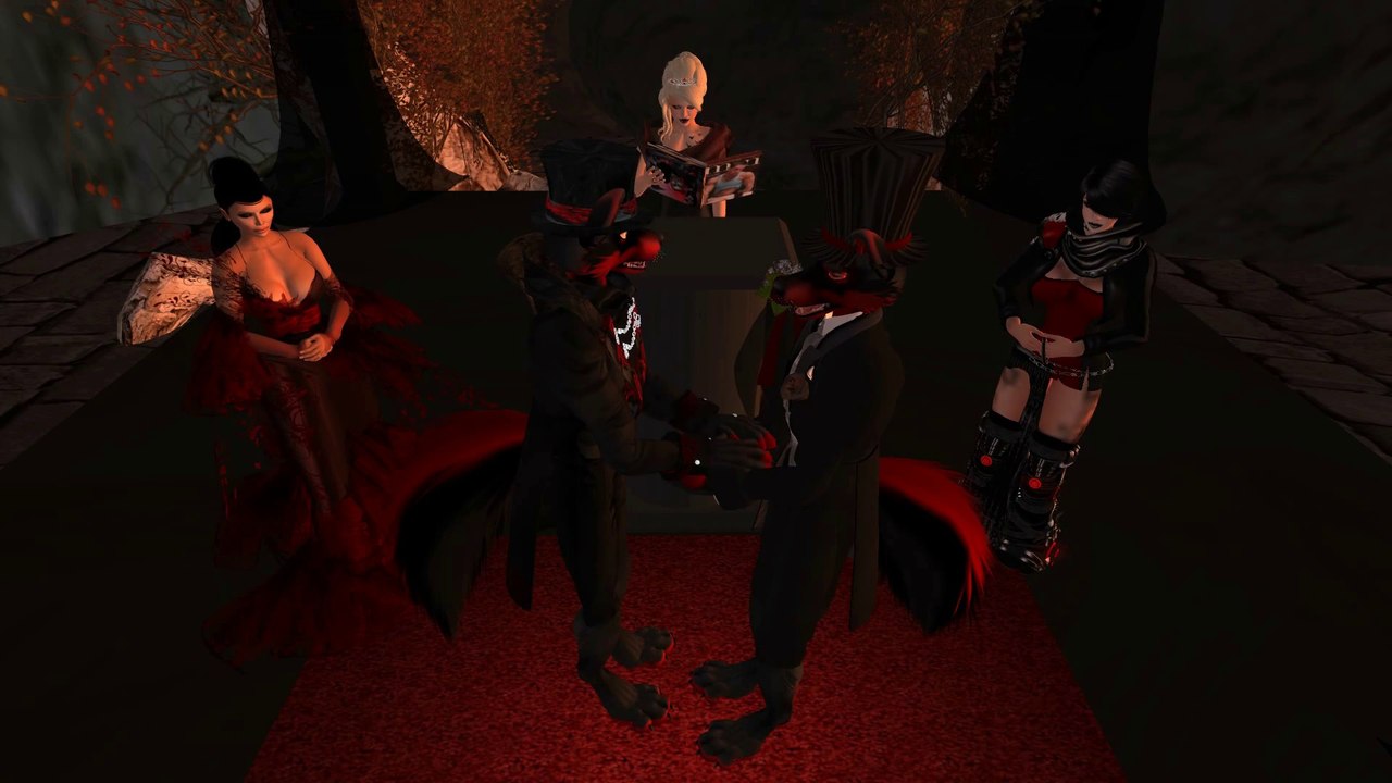 Wedding - Fury & Nigra