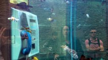 La cabine-aquarium du Voyage à Nantes