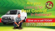 Pest Control Kelowna | (877)283-8677 | 24 Hour Emergency Exterminator Service Kelowna BC