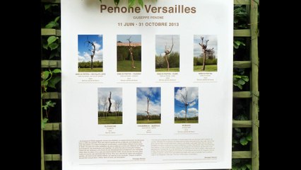 Guiseppe Penone à Versailles HD