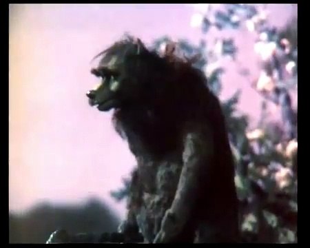 Как прекрасно светит сегодня луна