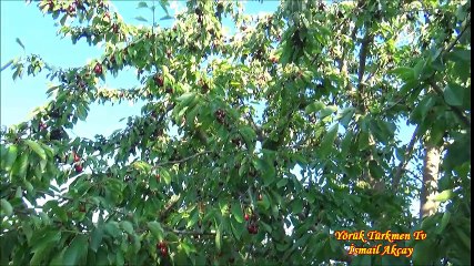 YUSUF EZEL DİYOR Kİ...!!!!