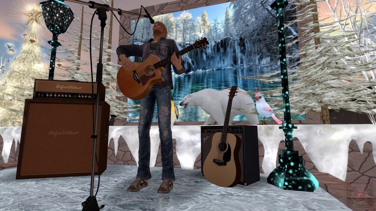 Aminius Writer (Live) - Wedding-2-go