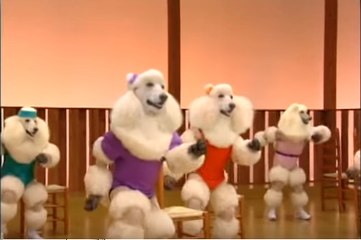 Animals love to exercise