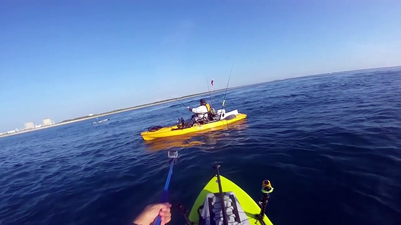 Il filme un requin se faire couper en deux et bouffer par un requin géant