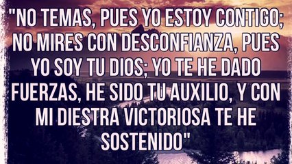 "10 citas bíblicas que te darán ánimo y fortaleza"
