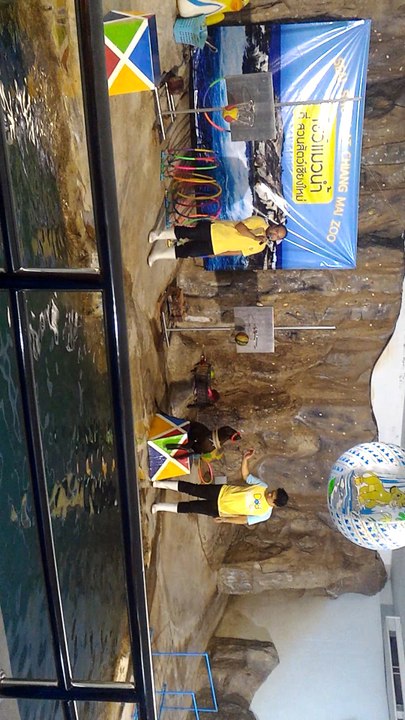 Sea lion show Chiang mai zoo