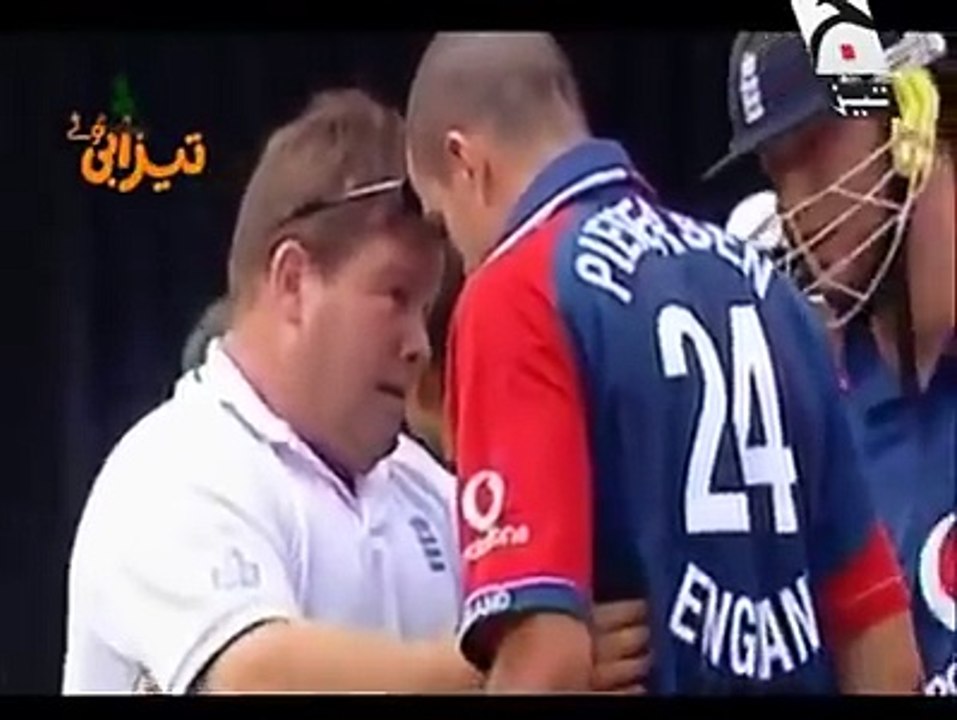kevin pietersen KA PUNJABI TOTA