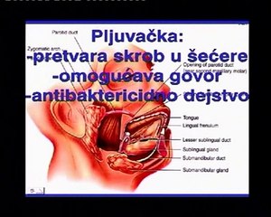 Zakoni zdravlja - Probava - dr Branislav Mihajlović (1/2)