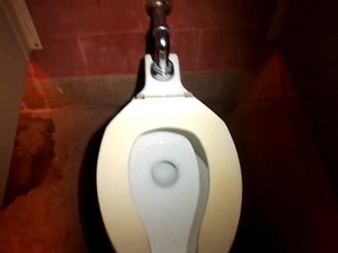 #28 1960s Kohler Penryn toilet.