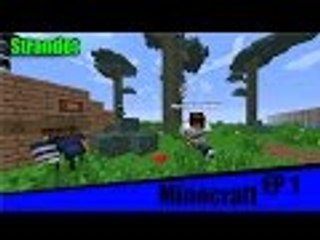 DANISH | STRANDET | EP 1 | STARTEN PÅ EN FED SERIE [HD-60FPS]