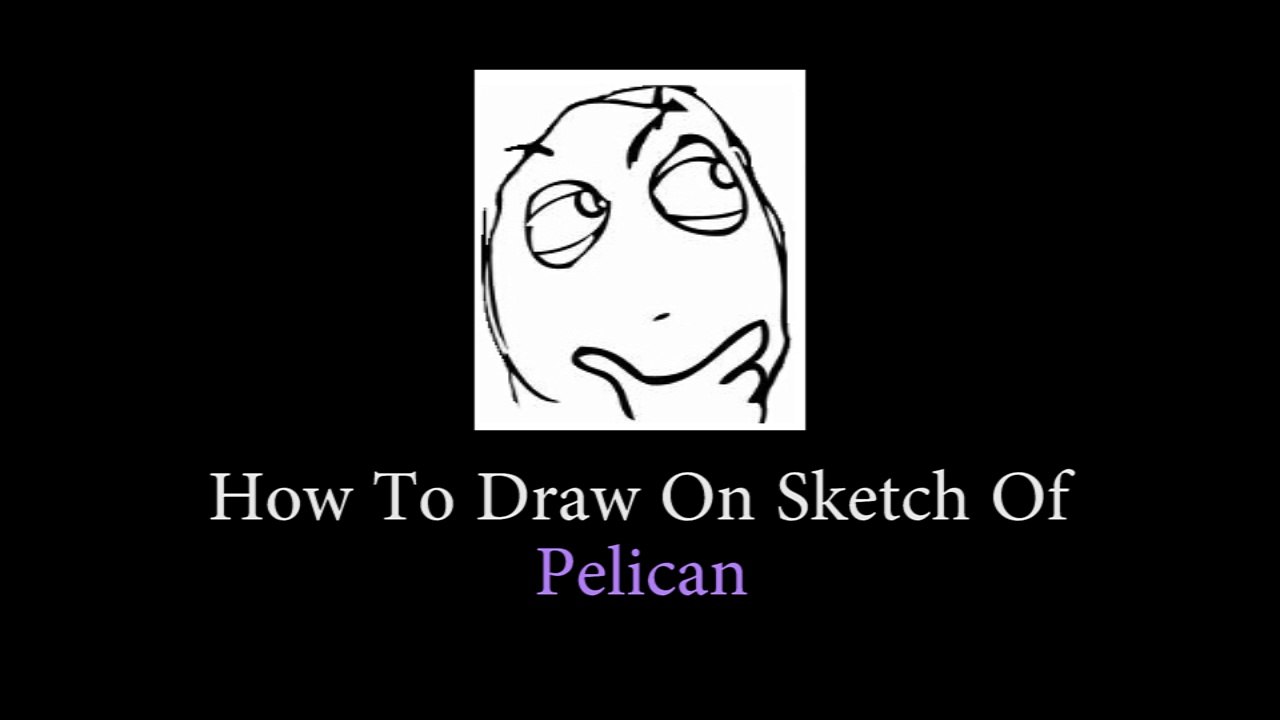 DIY How To Draw On The Sketch Of A Pelican