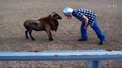 Haha so funny Must watch
