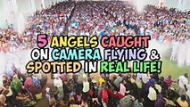 5 Holy messengers Discovered On Camera Flying and Seen, All things considered!