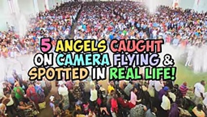 5 Holy messengers Discovered On Camera Flying and Seen, All things considered!