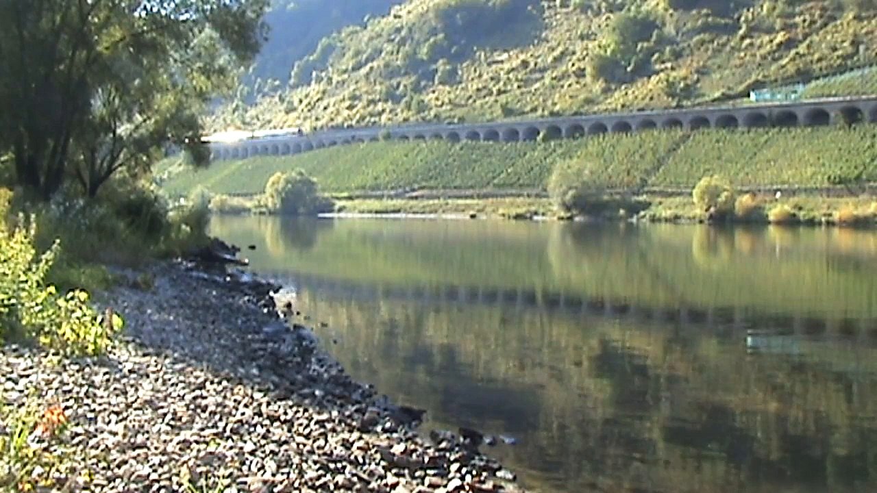 Züge, ein Schiff und ein Schwan beim Pündericher Viadukt, BR181, BR185, BR189, 628, 426, 425