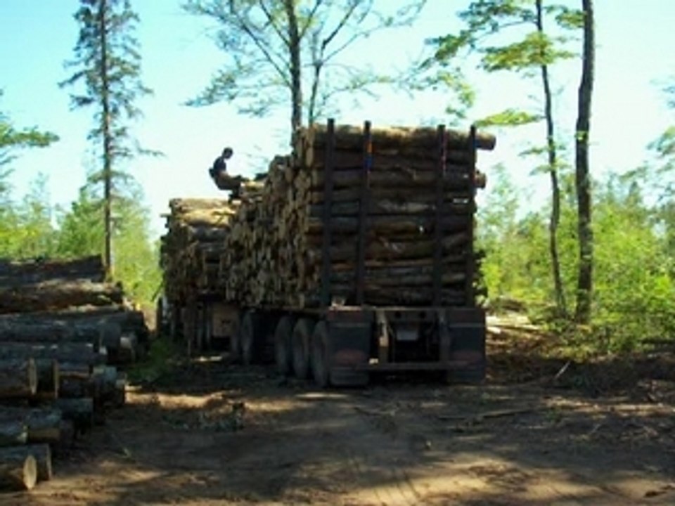 Loading Wood Off My 80