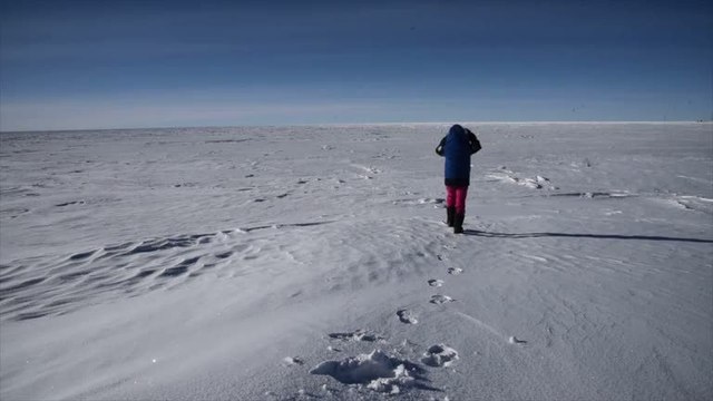 Antarctic astronauts
