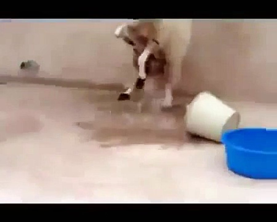 Amazing Sheap Video lmout dyal-mot d7k-hhhhh-mort de rire je vous defier c vous rigoler pas