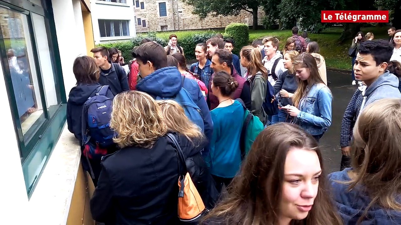 Baccalauréat. D'excellents résultats à Lannion