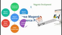 Magento Web Development Company in Delhi