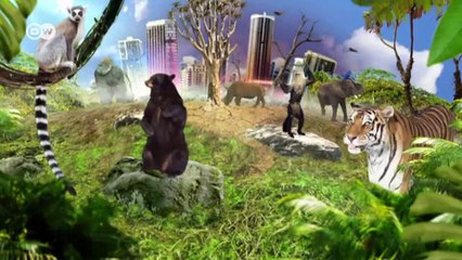 Seeking saigas in Kazakhstan | Global 3000