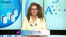 Virginie Vial, Corruption, entrepreneuriat et création de valeur