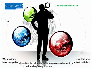 Web Designing Company Warrington - BlueWhaleMedia