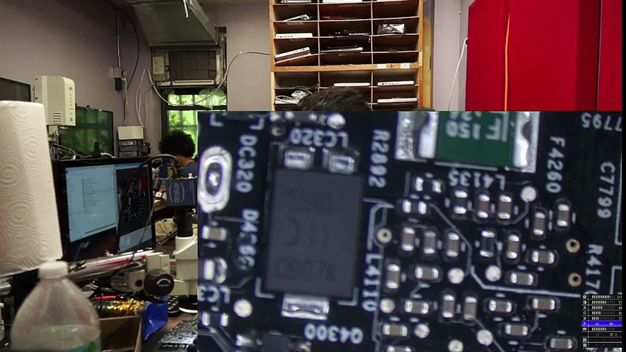 Sunny visits while fixing a board.