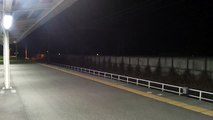 2014年2月24日撮影　EF210-100番台　1084レ(Nゲージで再現が可能)　弁天島駅