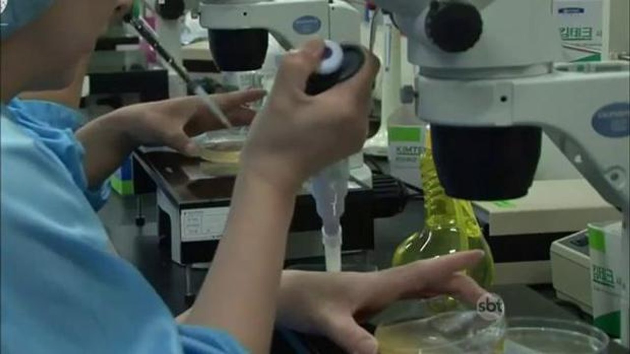 Empresa sul-coreana clona animais de estimação e causa polêmica