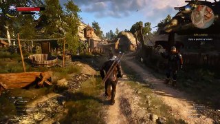 The Witcher 3 01 12 2016   22 43 04 20