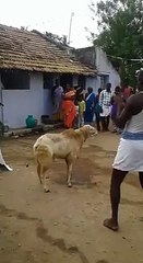 கைப்புள்ள தேவையாடா இந்த வேலை உனக்கு